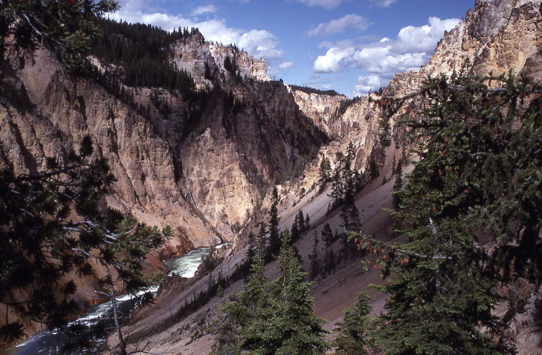 The Yellowstone River flows through the Grand Canyon of the Yellowstone in Yellowstone National Park. Yellowstone is one of many national parks that is threatened due to climate change. (NPS)