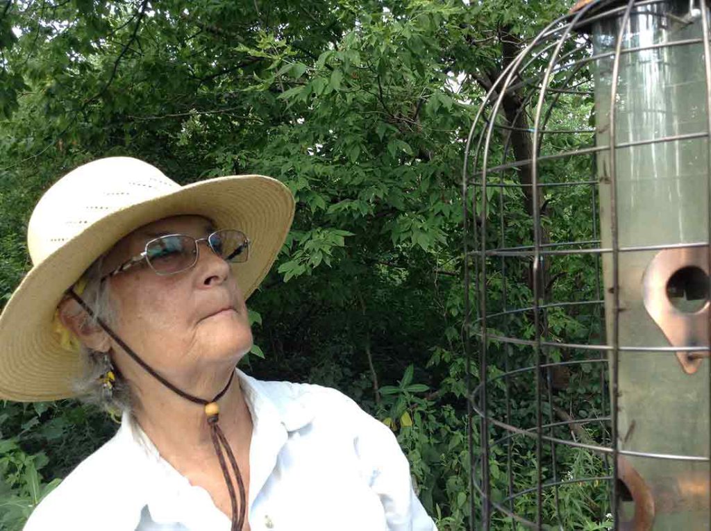 Carolyn Marsh fills the bird feeders in the sanctuary in Hammond, Indiana