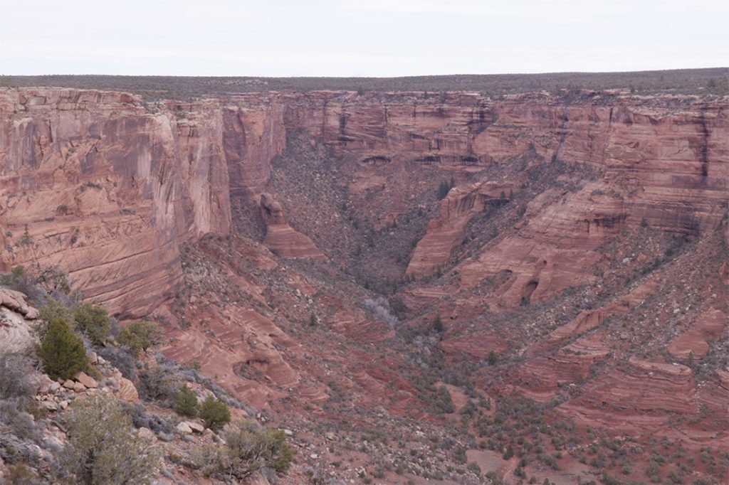Water contamination threat continues for the Navajo Nation Medill