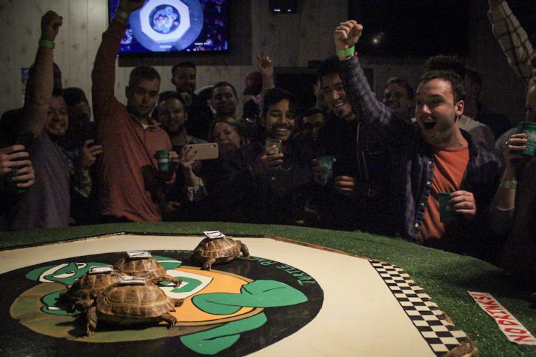 Lincoln Park bar continues quirky turtle races under new ownership
